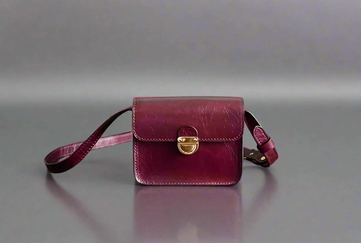 DS Designer Virtuous Mini Crossbody Messenger Bag