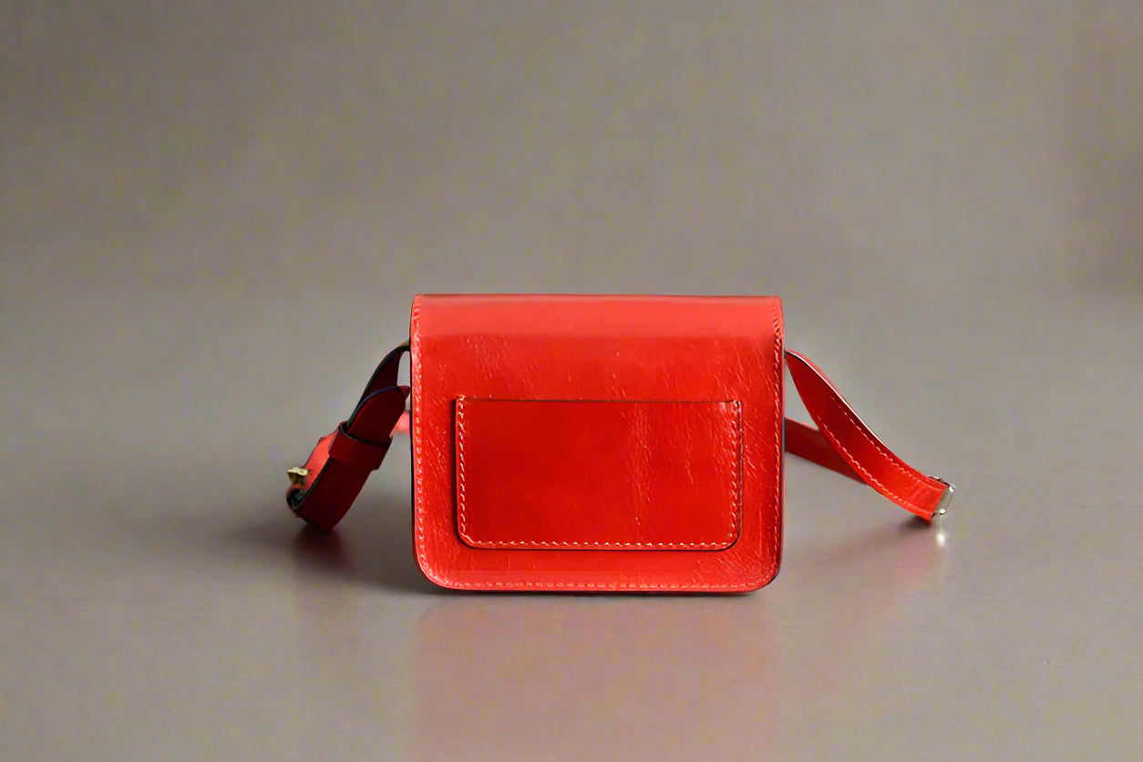 DS Designer Virtuous Mini Crossbody Messenger Bag