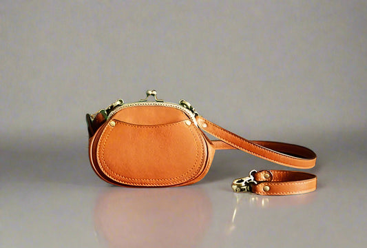 DS Designer Priceless Mini Messenger Handbag